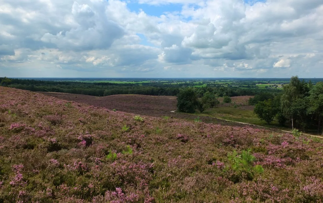 natuurkampeerterrein-de-rietkraag-lemelerveld-iuzxs