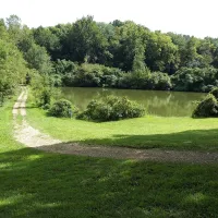 Basswood Resort