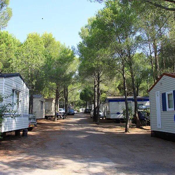 la-baumela-palmeraie-frejus-ar5zb