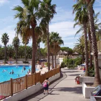 la-baumela-palmeraie-frejus-cihcj