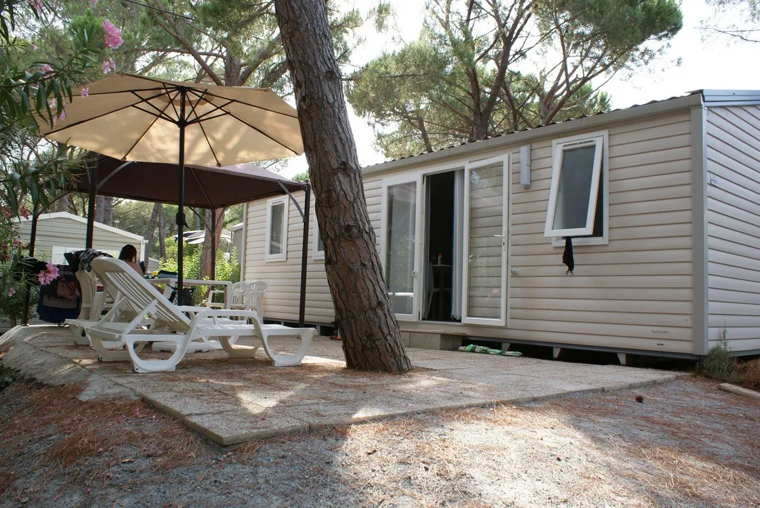 la-baumela-palmeraie-frejus-rjps8
