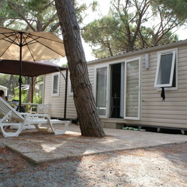 la-baumela-palmeraie-frejus-rjps8
