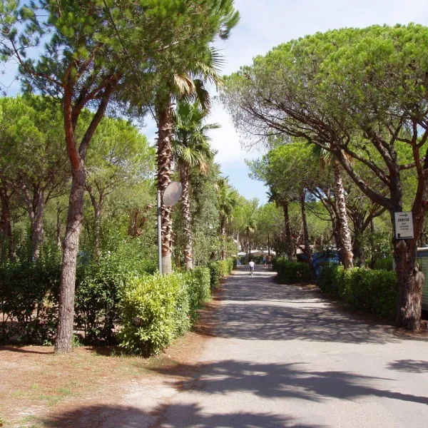 la-baumela-palmeraie-frejus-zxsrn