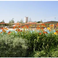 riembau-playa-daro-platja-daro-castell-daro-tal0k