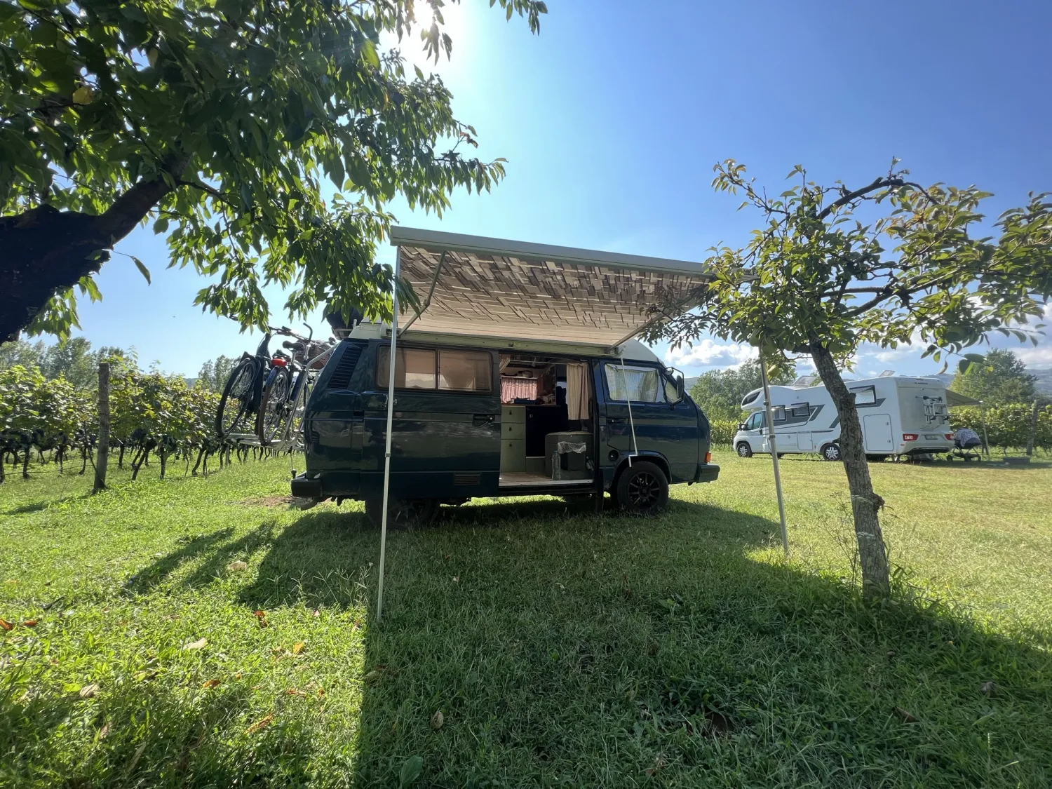 purple-eye-estate-camp-winery-jokas-daniovgrad-8no0j