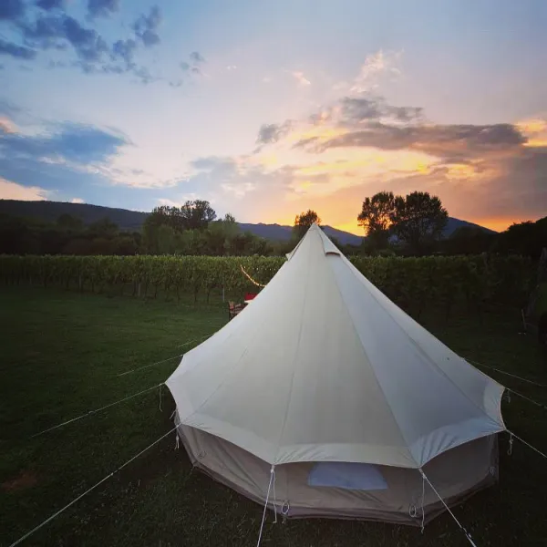 purple-eye-estate-camp-winery-jokas-daniovgrad-e8jit