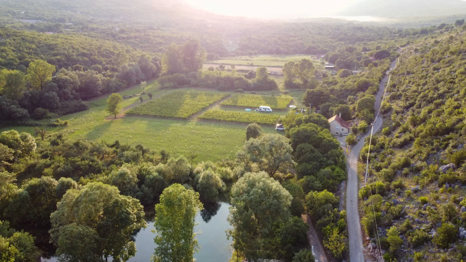 purple-eye-estate-camp-winery-jokas-daniovgrad-icr8g