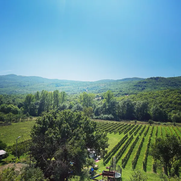 purple-eye-estate-camp-winery-jokas-daniovgrad-lnnwz