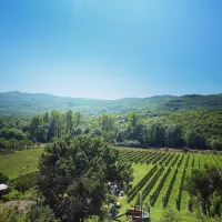 purple-eye-estate-camp-winery-jokas-daniovgrad-lnnwz