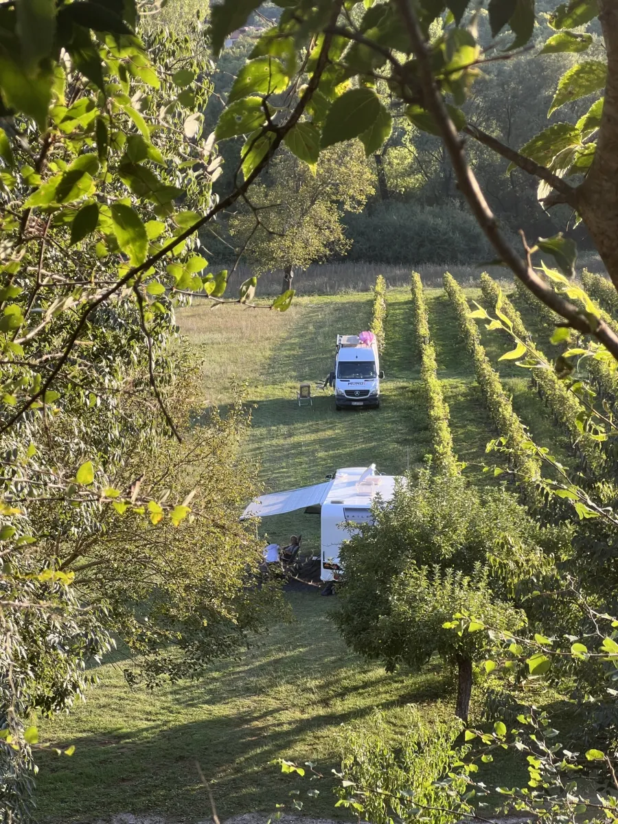 purple-eye-estate-camp-winery-jokas-daniovgrad-mg2ir
