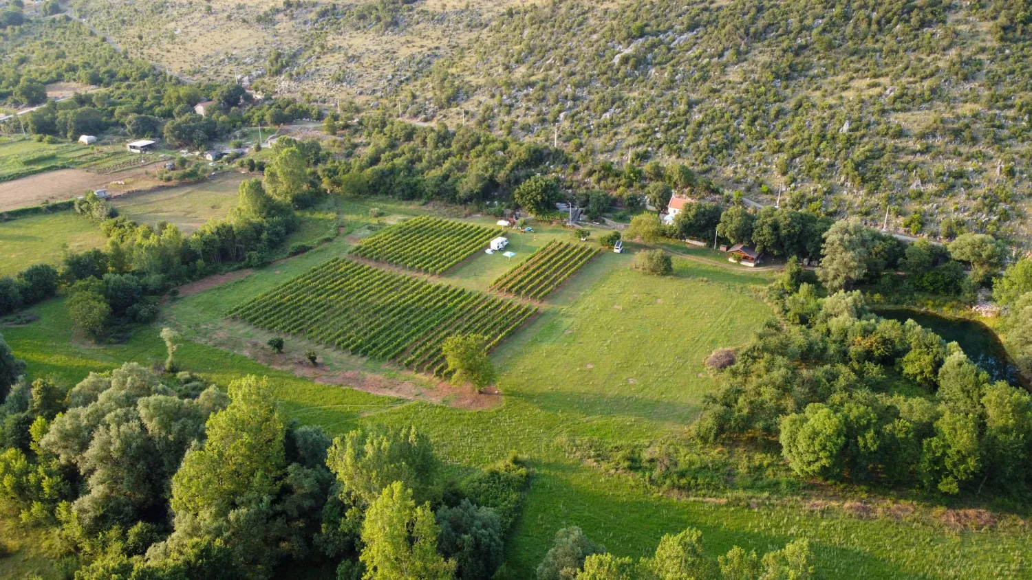 purple-eye-estate-camp-winery-jokas-daniovgrad-r6ywo