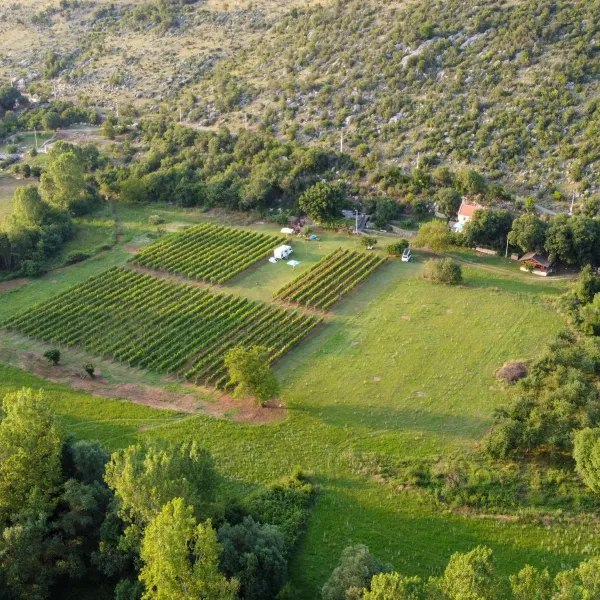 purple-eye-estate-camp-winery-jokas-daniovgrad-r6ywo