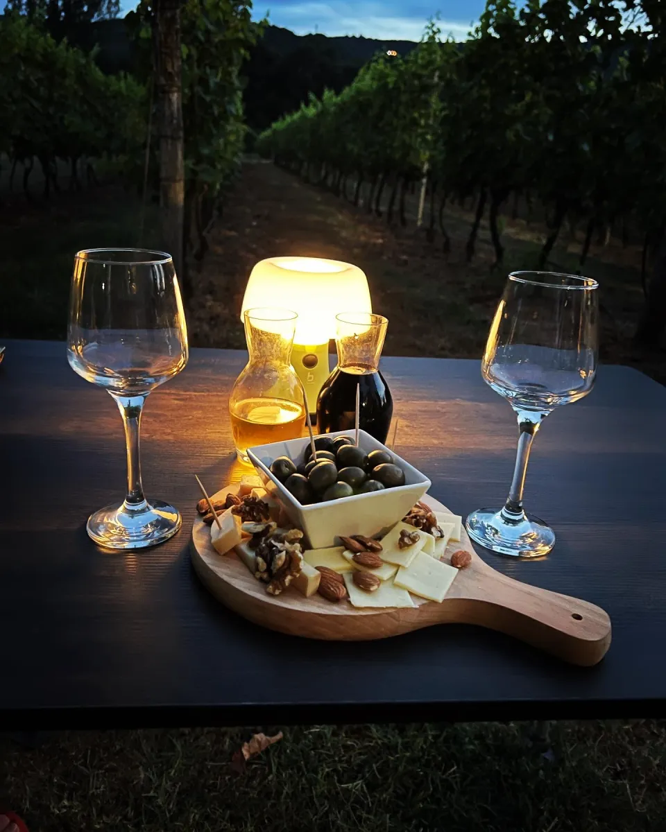 purple-eye-estate-camp-winery-jokas-daniovgrad-xelwb