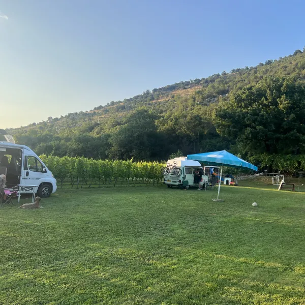 purple-eye-estate-camp-winery-jokas-daniovgrad-zgmnz