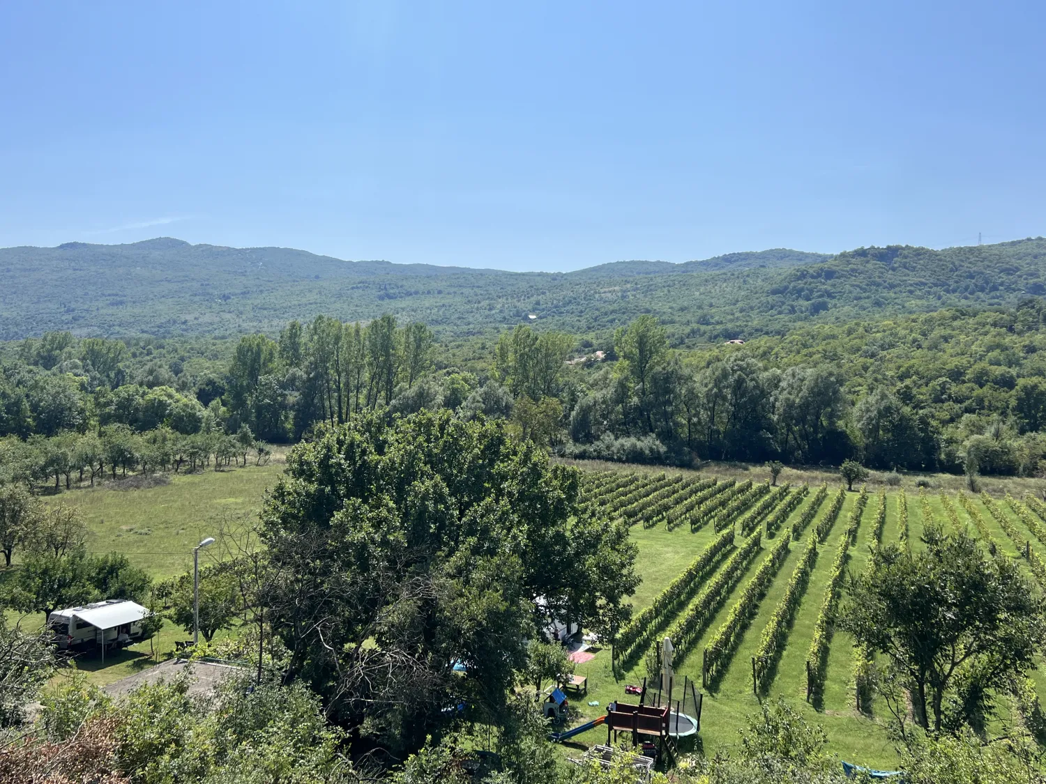 purple-eye-estate-camp-winery-jokas-daniovgrad-zqwpu