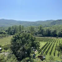 purple-eye-estate-camp-winery-jokas-daniovgrad-zqwpu