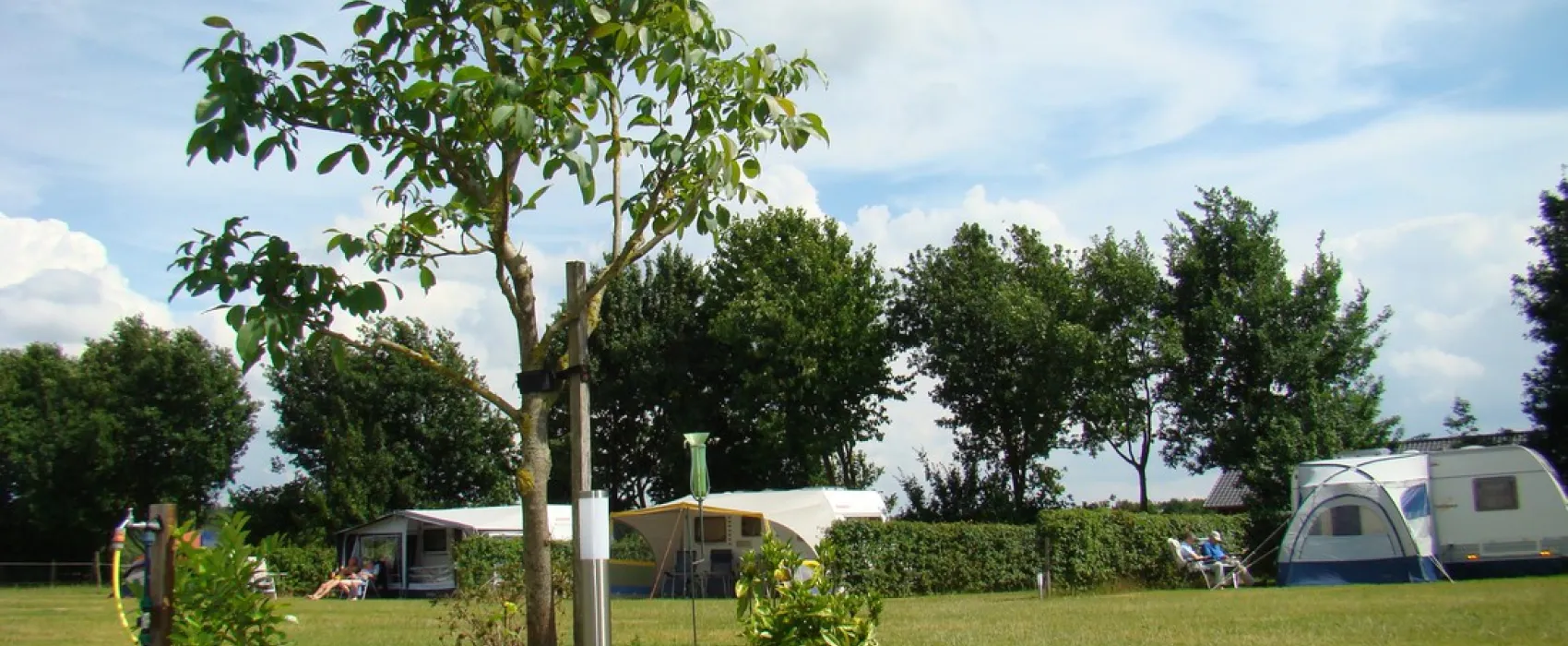 Boschheide