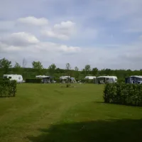 Boschheide
