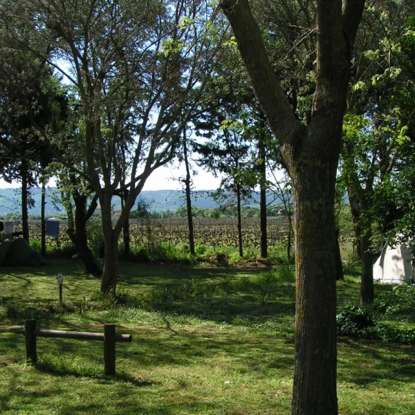le-moulin-a-vent-cucuron-q6xxx