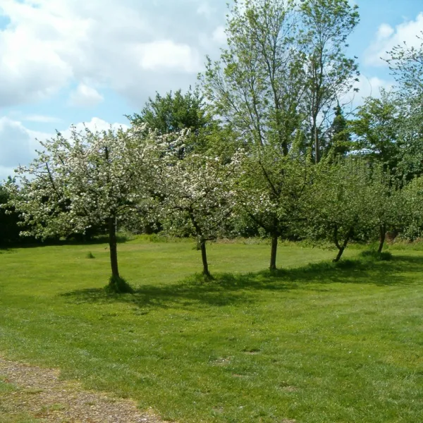 relais-du-mont-criquet-ouilly-du-houley-j4x8z