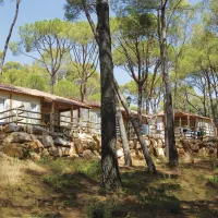 Internacional de Calonge