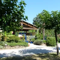 les-floralies-montauroux-var-m7gr7