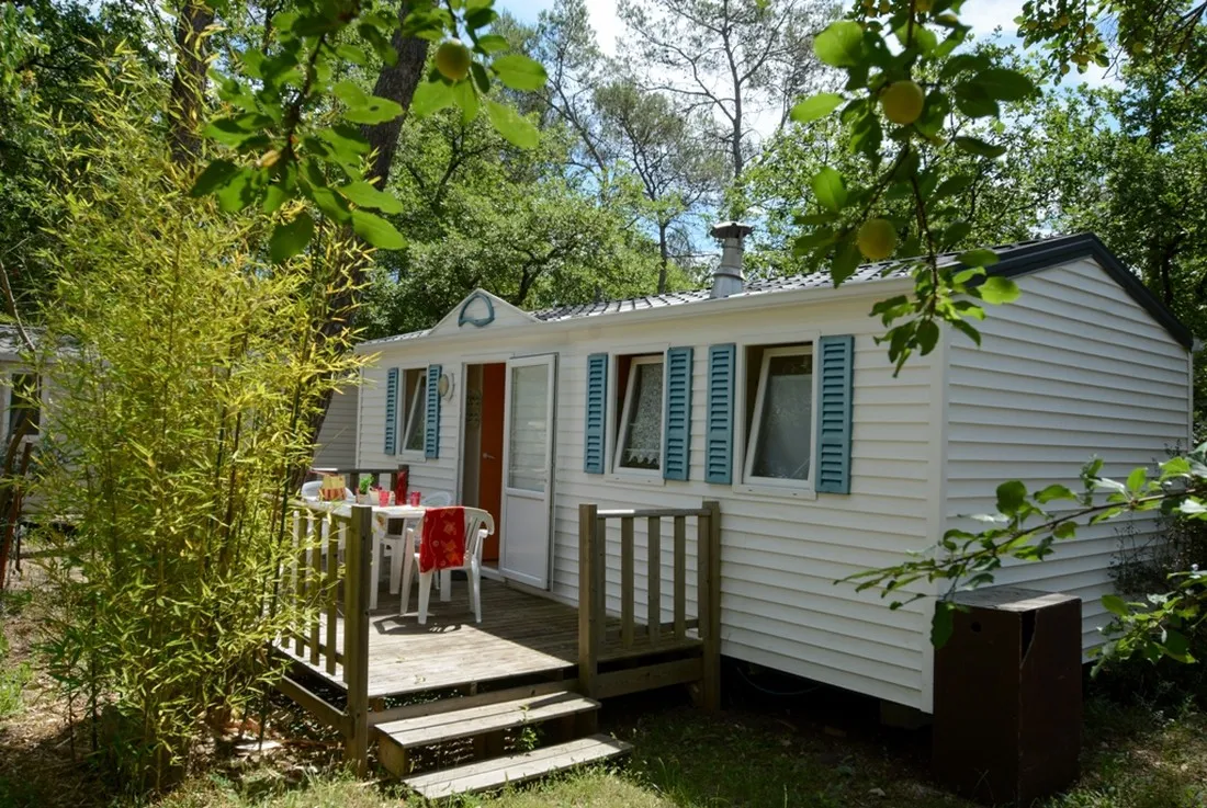 le-parc-st-paul-en-foret-dqgnu