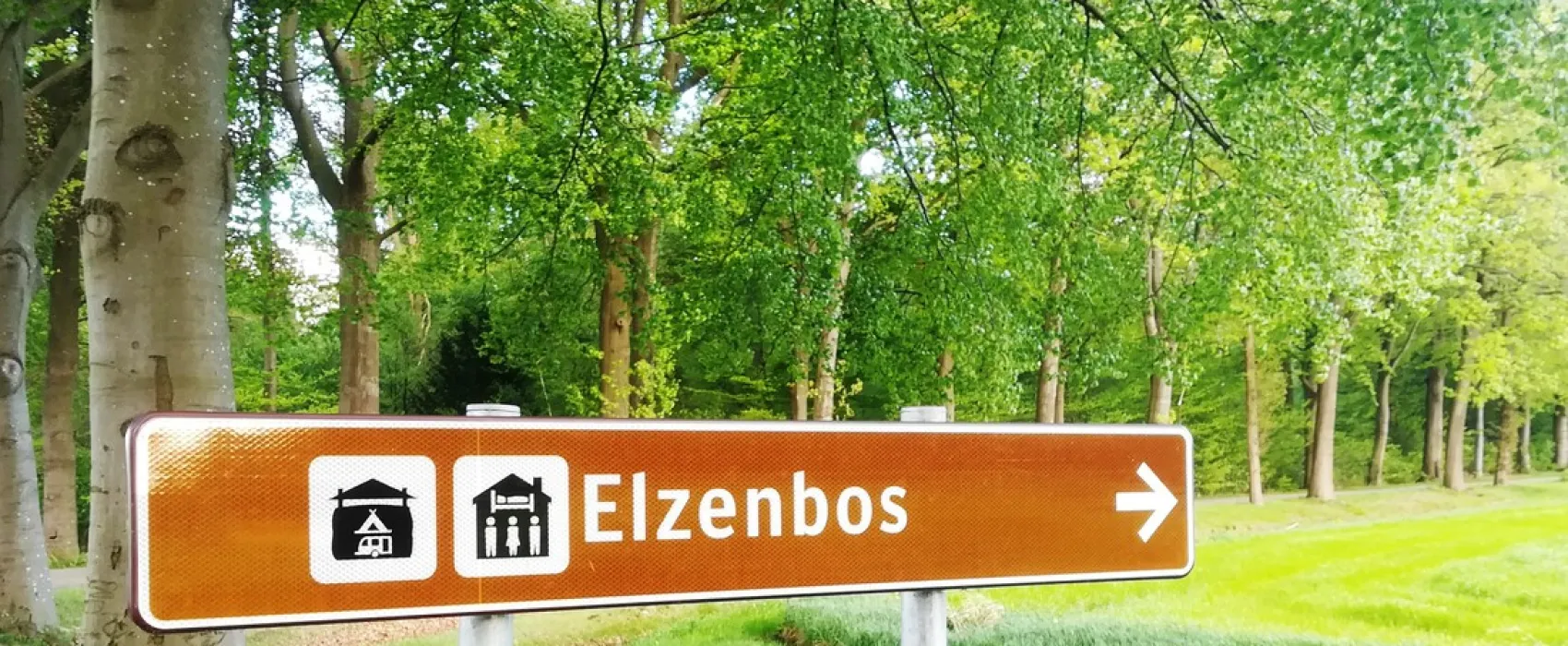 Elzenbos
