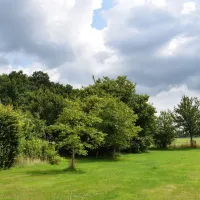 elzenbos-vorden-tfrgh