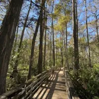 imperial-bonita-estates-bonita-springs-sttfj