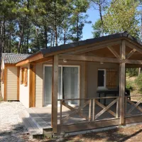 Domaine des Pins