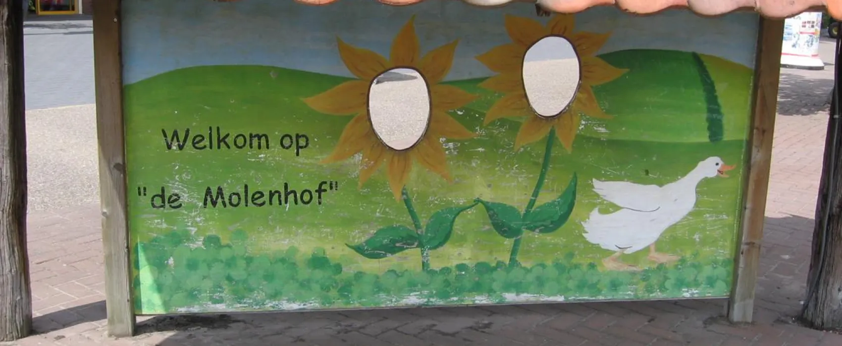 Camping De Molenhof