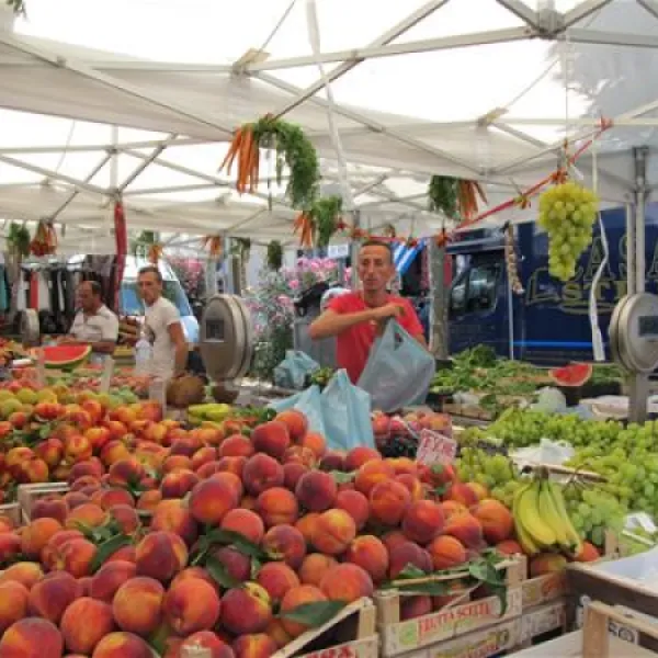 campeggio-maremma-sans-souci-castiglione-della-pescaia-botvn
