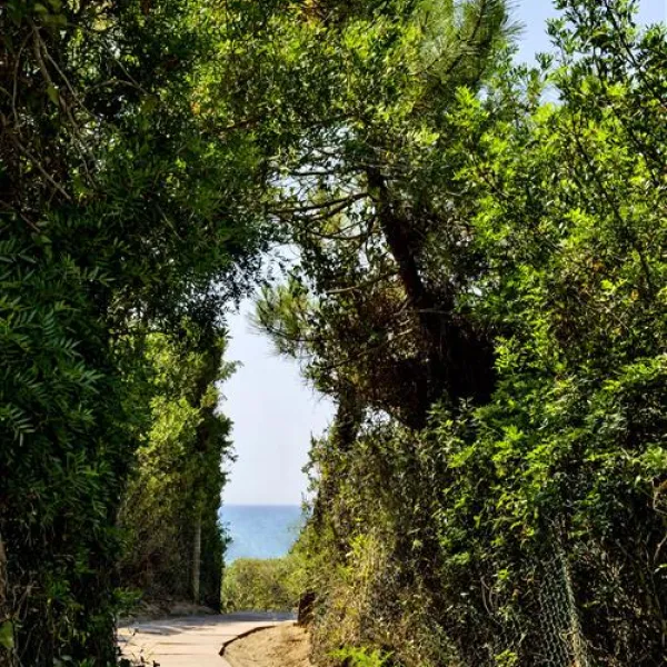 campeggio-maremma-sans-souci-castiglione-della-pescaia-cocqc
