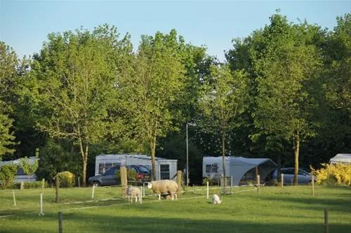 camping-de-veldmeijer-weerselo-9r5i1