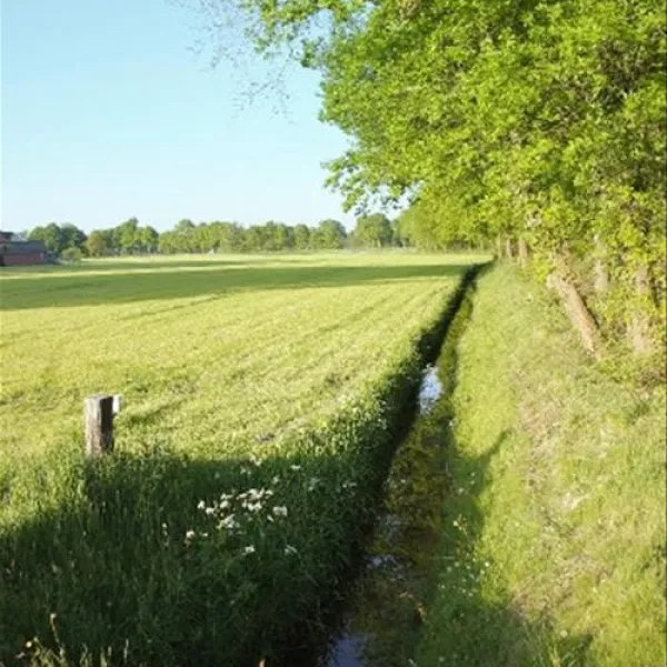 camping-de-veldmeijer-weerselo-dvdmw