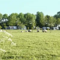 camping-de-veldmeijer-weerselo-nb3o8