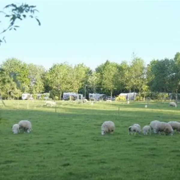 camping-de-veldmeijer-weerselo-sd4c6