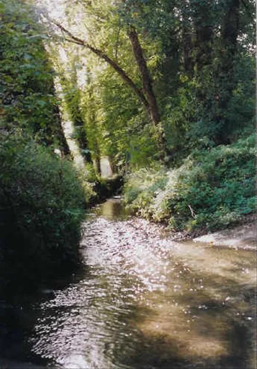 camping-les-garennes-de-la-mer-bourg-dun-lp1sj