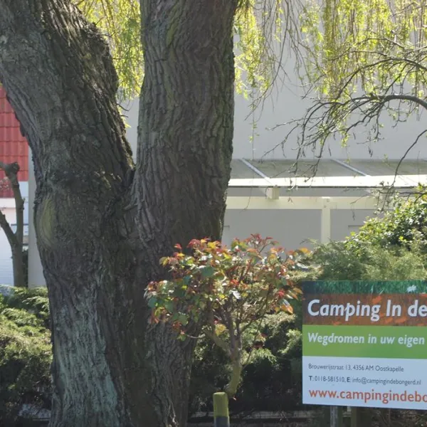 camping-in-de-bongerd-oostkapelle-2mbcn