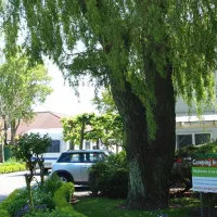 camping-in-de-bongerd-oostkapelle-9roxv