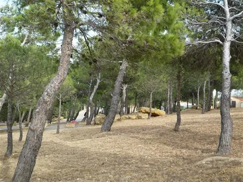 camping-la-nautique-narbonne-gb0dd