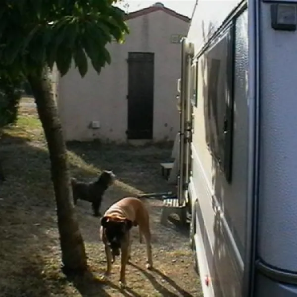 camping-la-nautique-narbonne-sx8sl