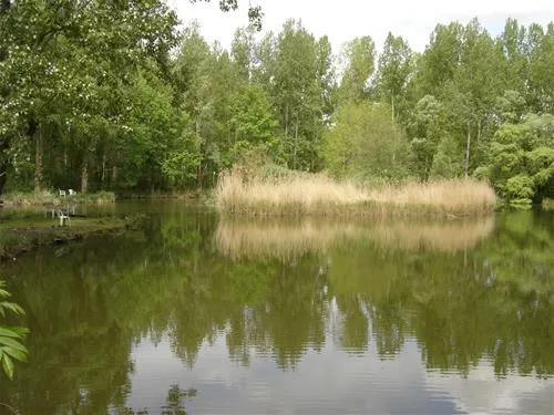 le-cattiaux-camping-courdimanche-sur-essonne-2jyqr