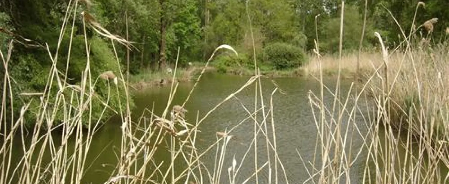 Le Cattiaux Camping