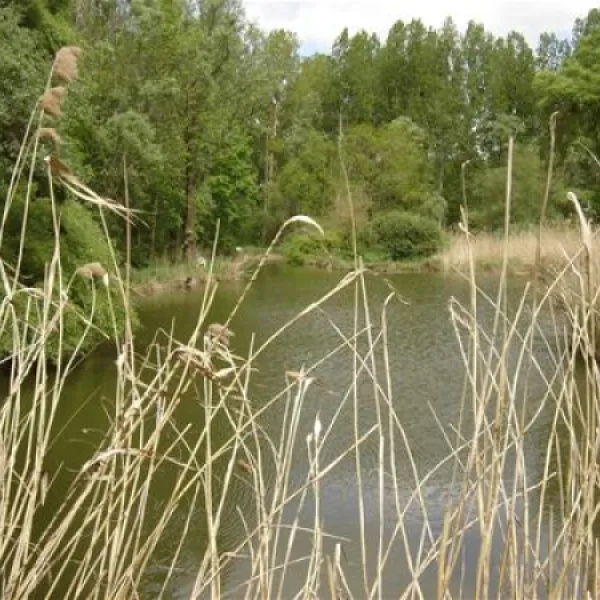le-cattiaux-camping-courdimanche-sur-essonne-ljney