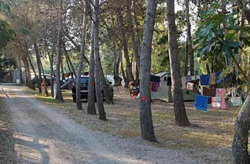 camping-la-pineta-barisardo-c2hyk