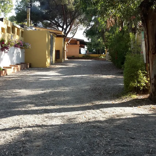camping-la-pineta-barisardo-nfnyr