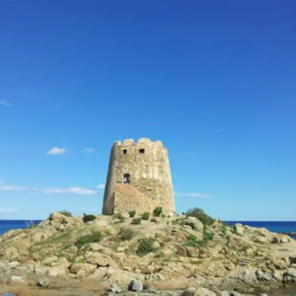 camping-la-pineta-barisardo-wpyus