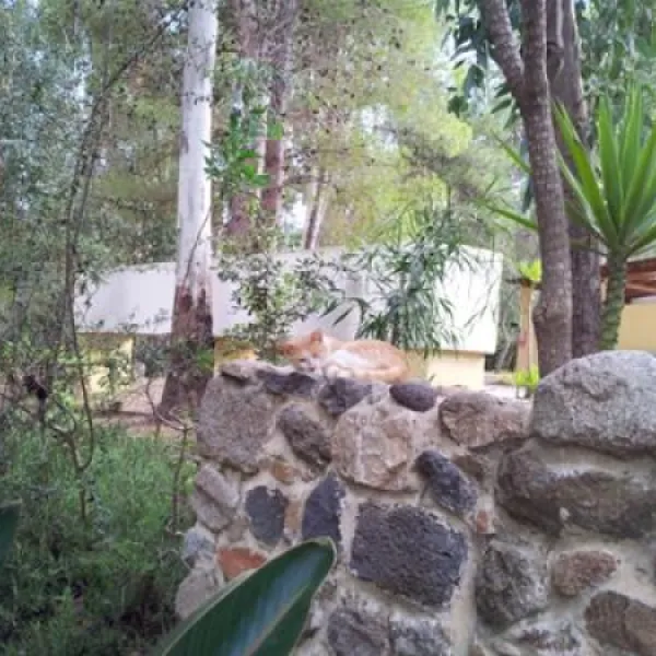 camping-la-pineta-barisardo-wwmpa